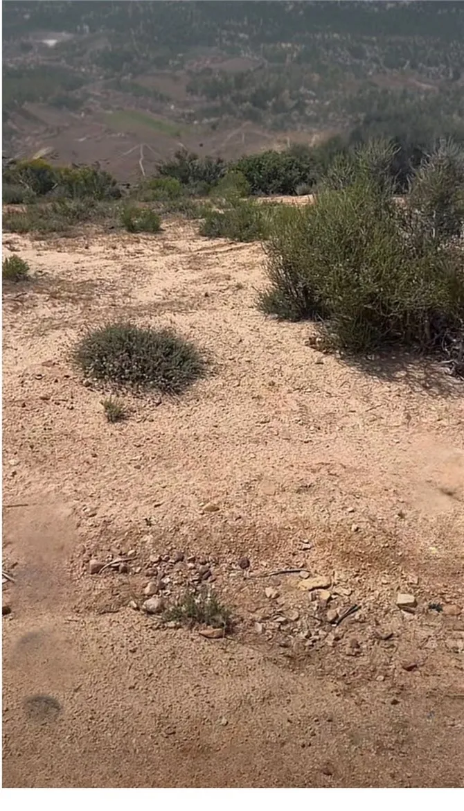 Hesperia, CA 92345