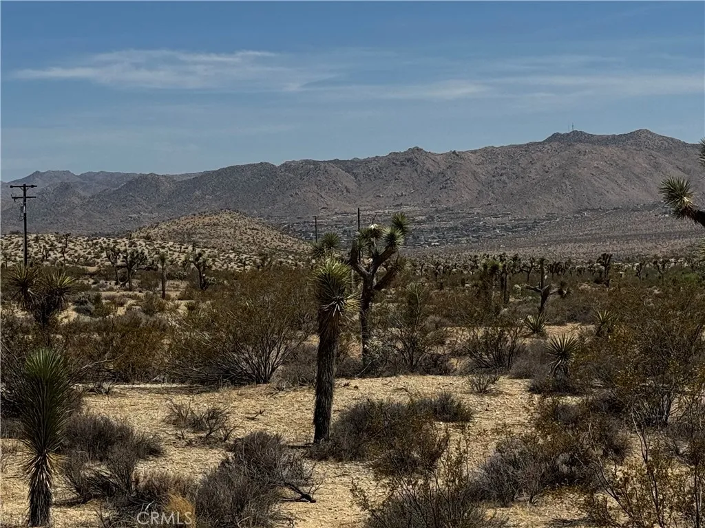 Yucca Valley, CA 92284