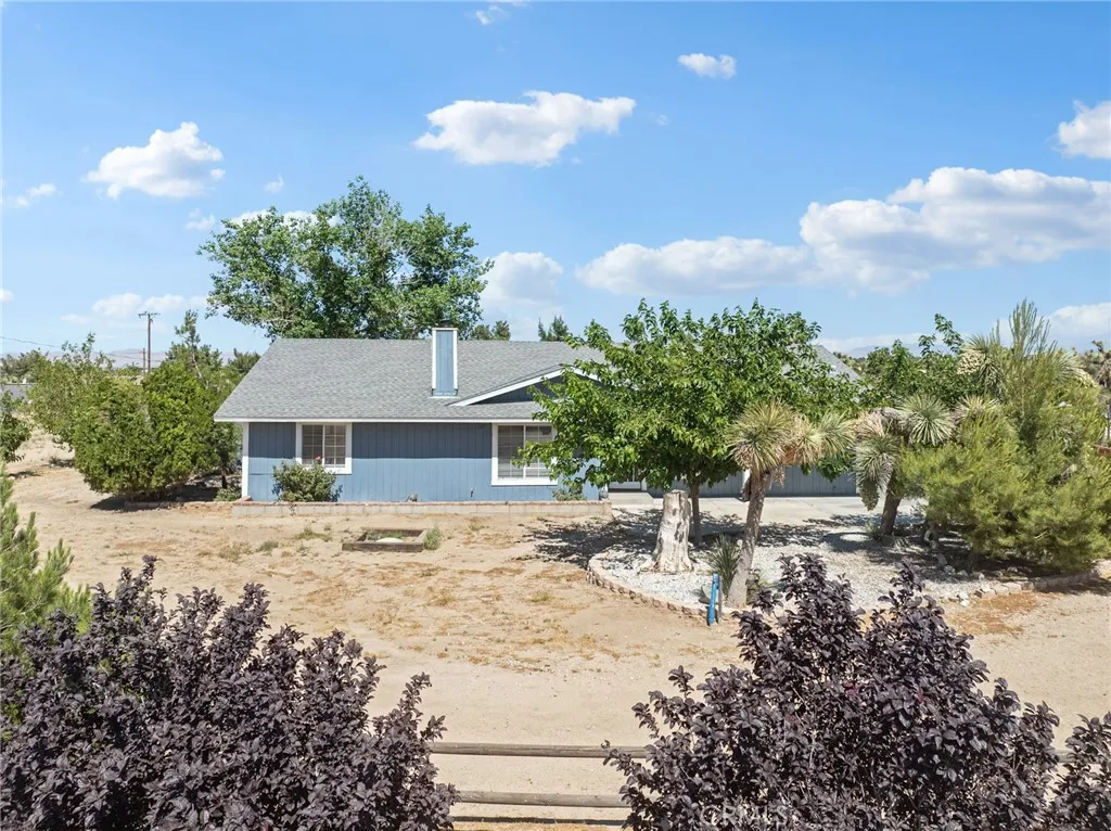 10925 Buttonwood