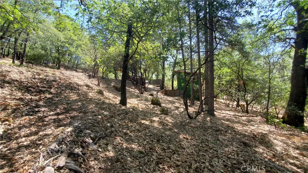 11545 Loch Lomond, Loch Lomond, CA 95461 - Photo 4 of 5, Loch Lomond, CA