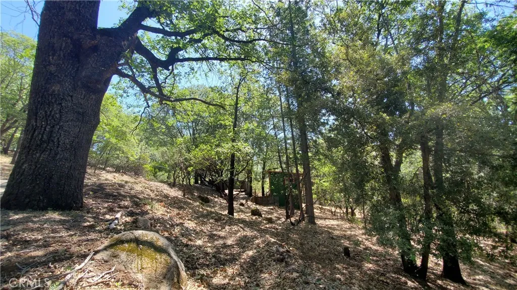 11545 Loch Lomond, Loch Lomond, CA 95461 - Photo 2 of 5, Loch Lomond, CA