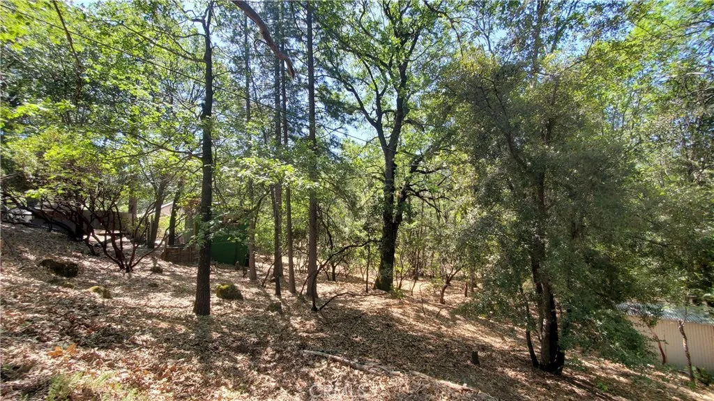 11545 Loch Lomond, Loch Lomond, CA 95461 - Photo 3 of 5, Loch Lomond, CA