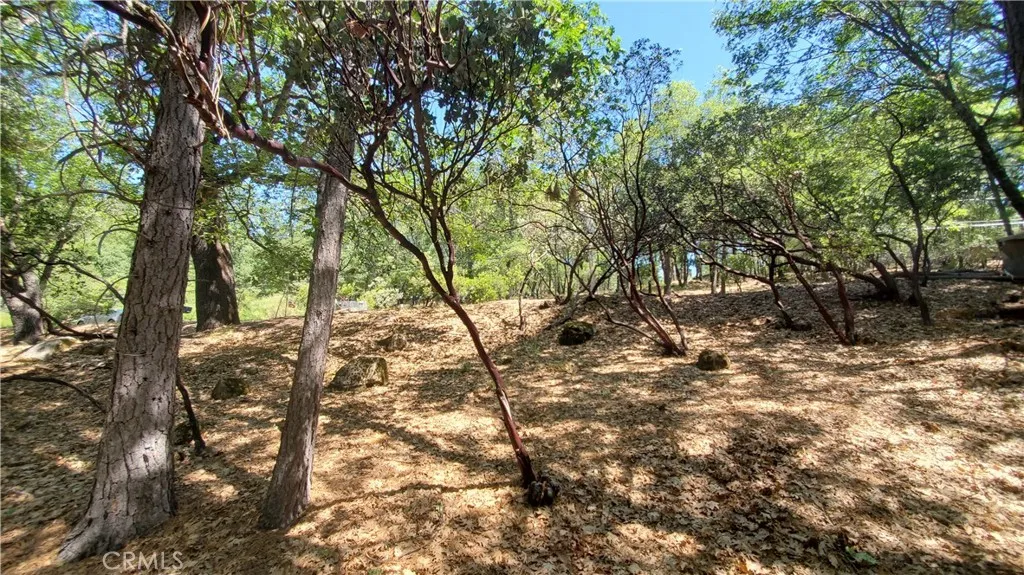 11545 Loch Lomond, Loch Lomond, CA 95461 - Photo 5 of 5, Loch Lomond, CA