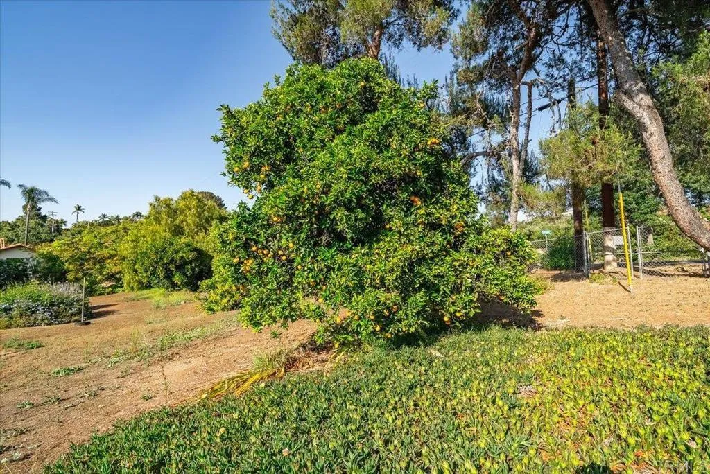https://cdn.realtyfeed.com/cdn/127/306724920/7ad1d353fbcd84a23f69a396415e58d0.webp