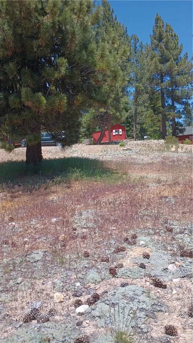 39237 Crest, Big Bear Lake, CA 92315 - Photo 3 of 3, Big Bear Lake, CA