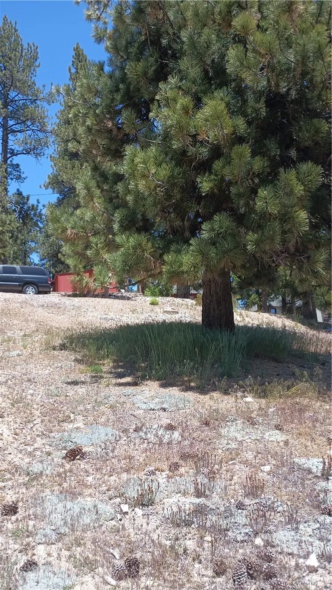 39237 Crest, Big Bear Lake, CA 92315 - Photo 2 of 3, Big Bear Lake, CA