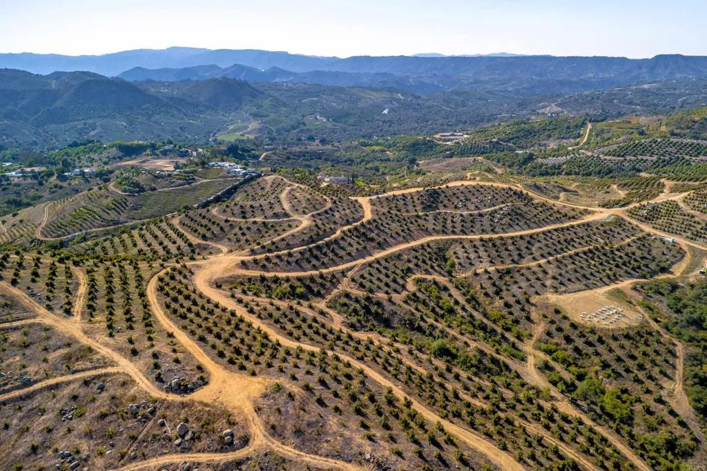 Temecula