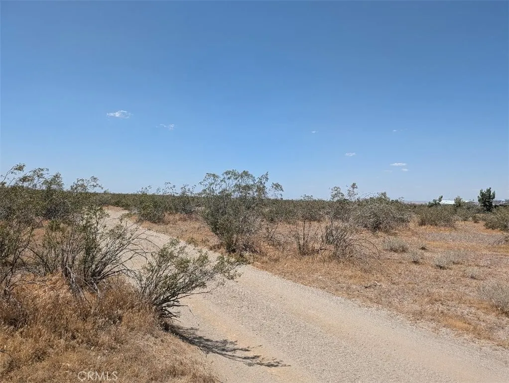 123 Dos Palmas, Pinon Hills, CA 92372 - Photo 3 of 4, Pinon Hills, CA