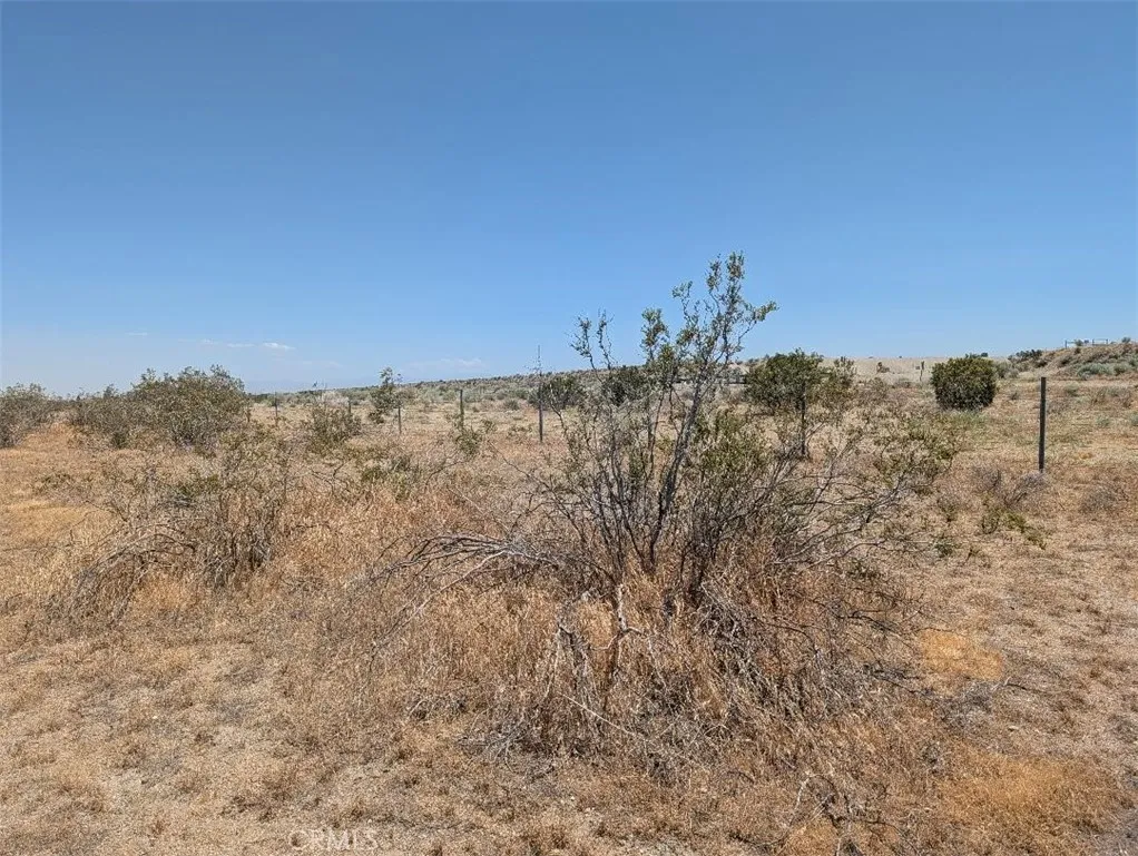 123 Dos Palmas, Pinon Hills, CA 92372 - Photo 2 of 4, Pinon Hills, CA