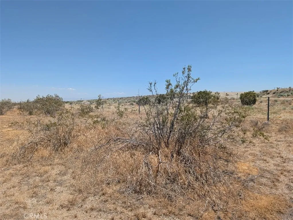 7 Dos Palmas, Pinon Hills, CA 92372 - Photo 5 of 6, Pinon Hills, CA