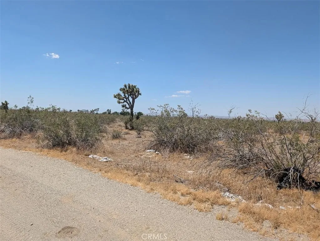 3 Dos Palmas, Pinon Hills, CA 92372 - Photo 2 of 5, Pinon Hills, CA