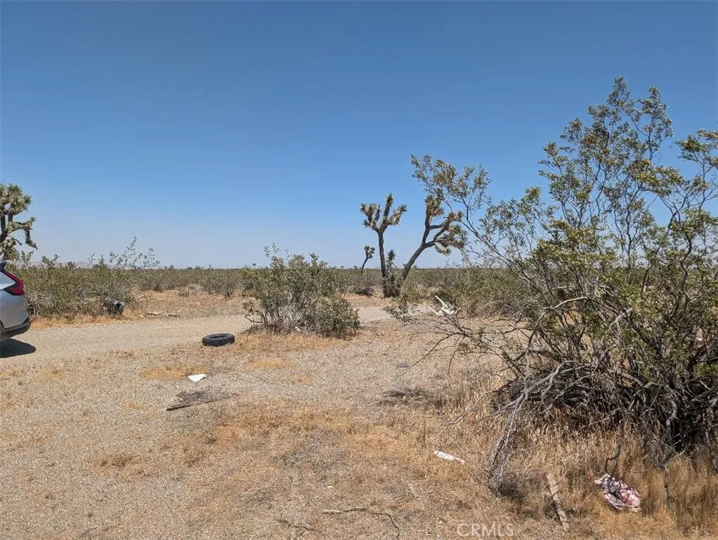3 Dos Palmas, Pinon Hills, CA 92372 - Photo 4 of 5, Pinon Hills, CA