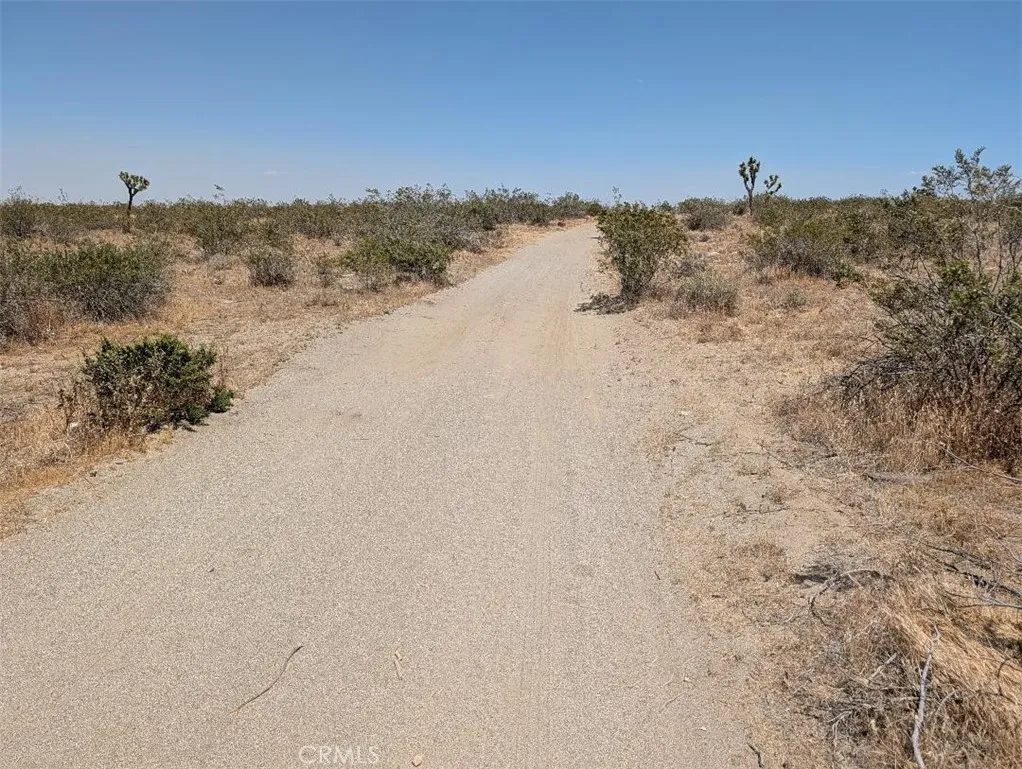 3 Dos Palmas, Pinon Hills, CA 92372 - Photo 5 of 5, Pinon Hills, CA