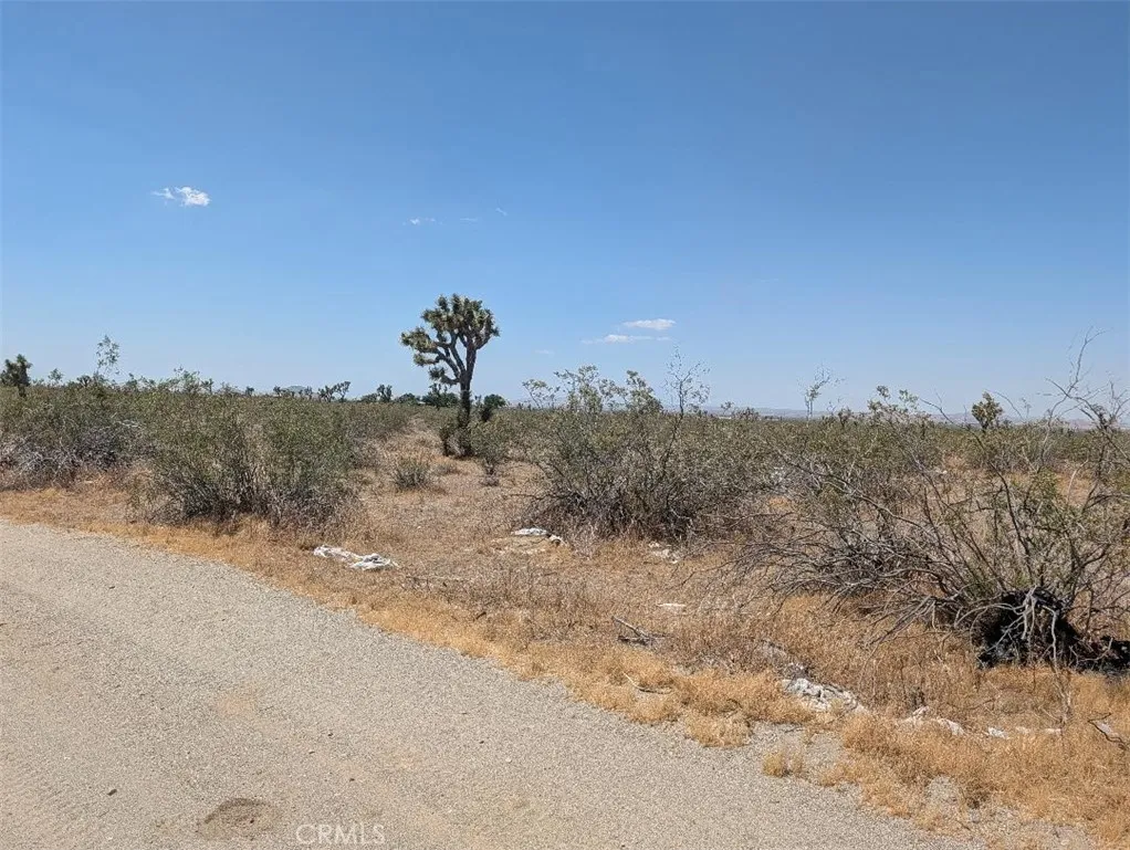 6 Dos Palmas, Pinon Hills, CA 92372 - Photo 3 of 5, Pinon Hills, CA