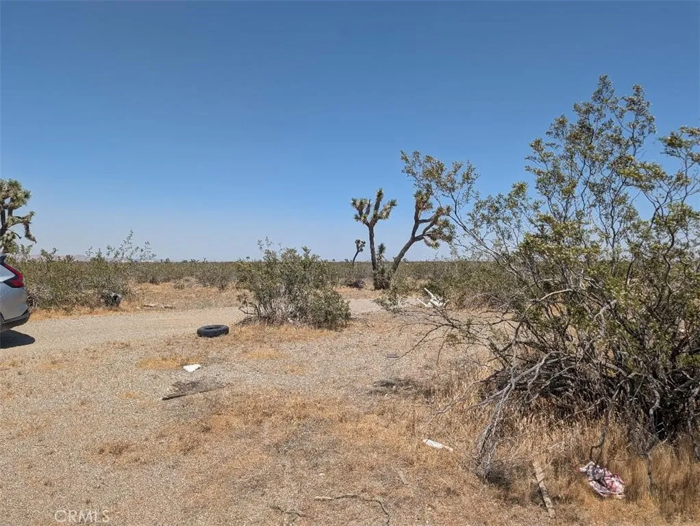 6 Dos Palmas, Pinon Hills, CA 92372 - Photo 4 of 5, Pinon Hills, CA