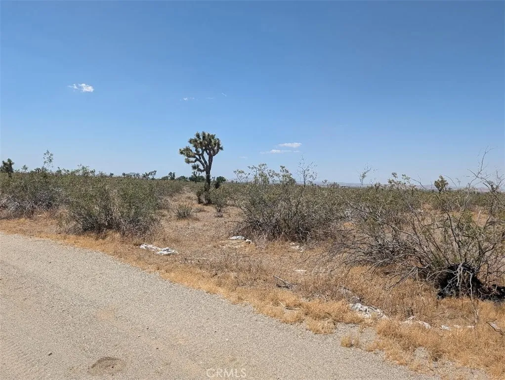 5 Dos Palmas, Pinon Hills, CA 92372 - Photo 5 of 5, Pinon Hills, CA