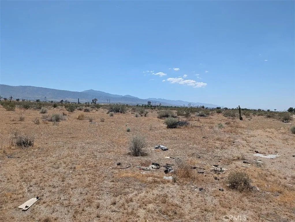 5 Dos Palmas, Pinon Hills, CA 92372 - Photo 4 of 5, Pinon Hills, CA