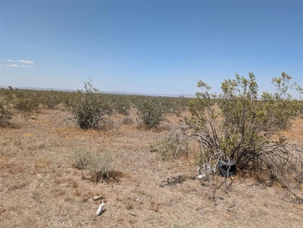5 Dos Palmas, Pinon Hills, CA 92372 - Photo 3 of 5, Pinon Hills, CA