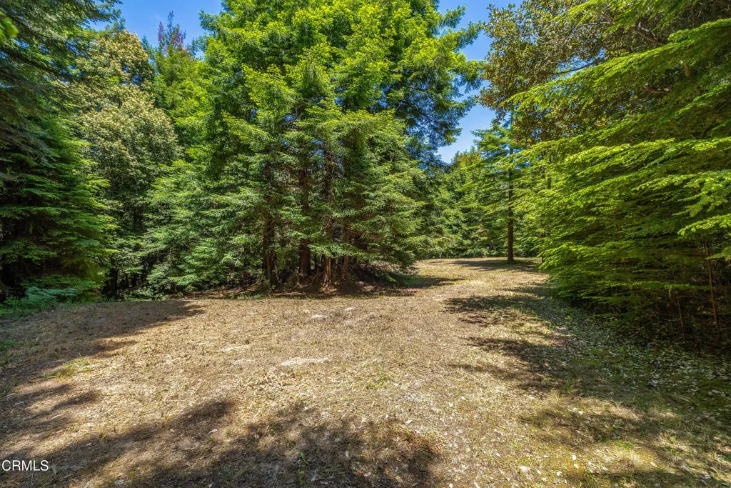 15620 Shane, Fort Bragg, CA 95437 - Photo 2 of 21, Fort Bragg, CA
