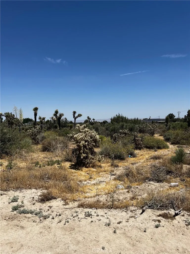 Phelan, CA 92371