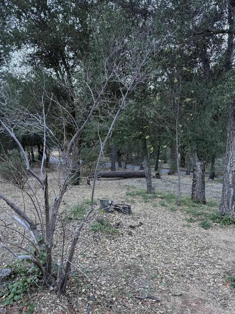 https://cdn.realtyfeed.com/cdn/127/306730132/117e6ce2512e91a1a32347ccbf6dfb57.webp
