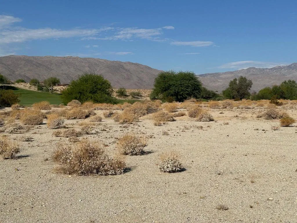 0 Roadrunner, Borrego Springs, CA 92004 - Photo 2 of 4, Borrego Springs, CA