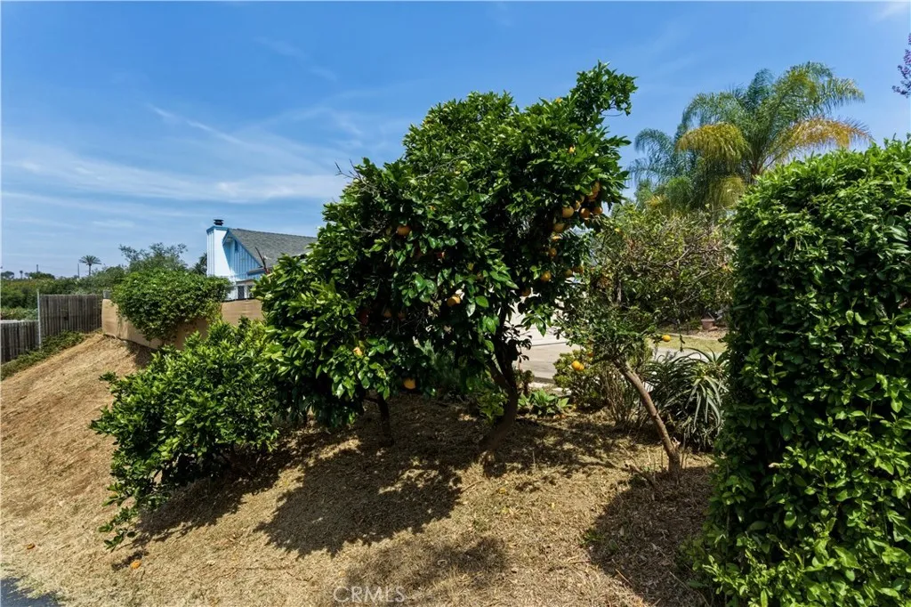 https://cdn.realtyfeed.com/cdn/127/306730894/335e48024787f7f65a5c3363d7e2ad0e.webp
