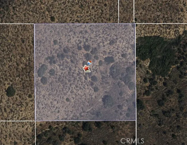 Palmdale, CA 93551
