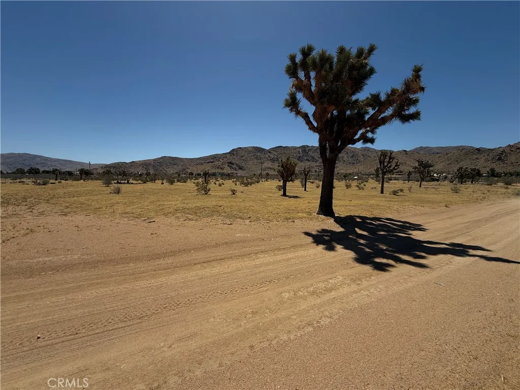 Apple Valley, CA 92307