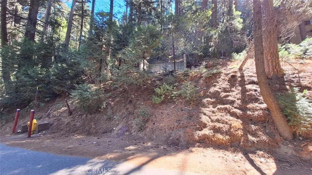 Lake Arrowhead, CA 92352