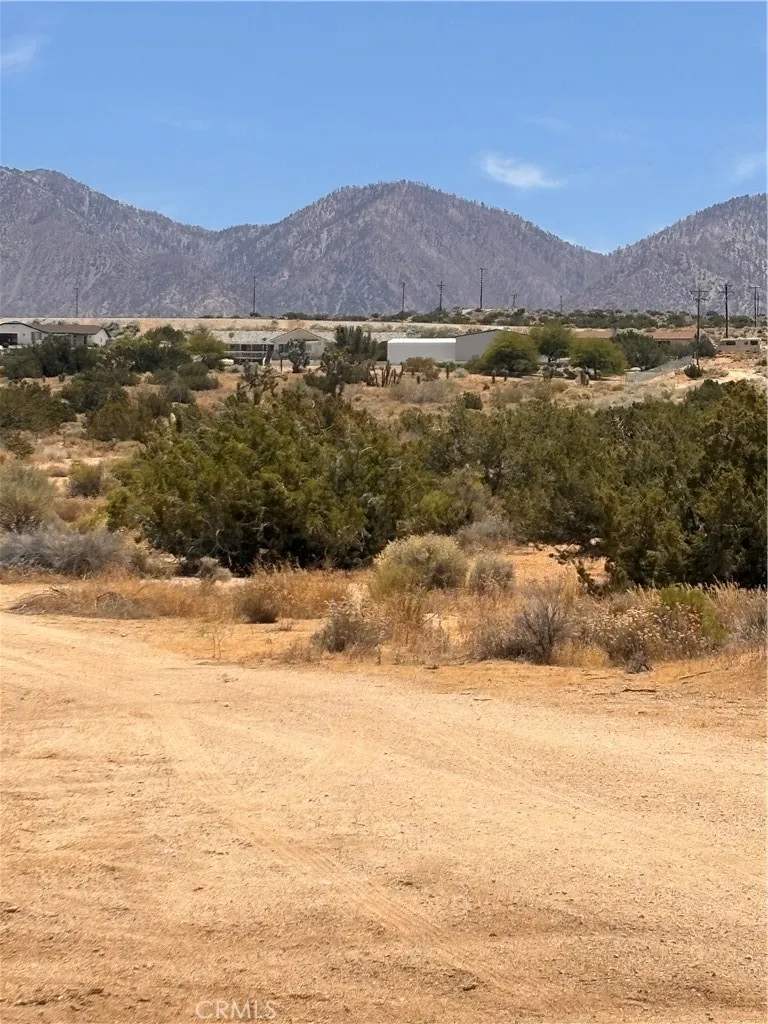 Pearblossom, CA 93553