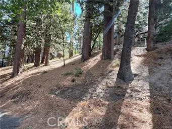 Running Springs, CA 92382