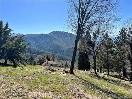 Running Springs, CA 92382