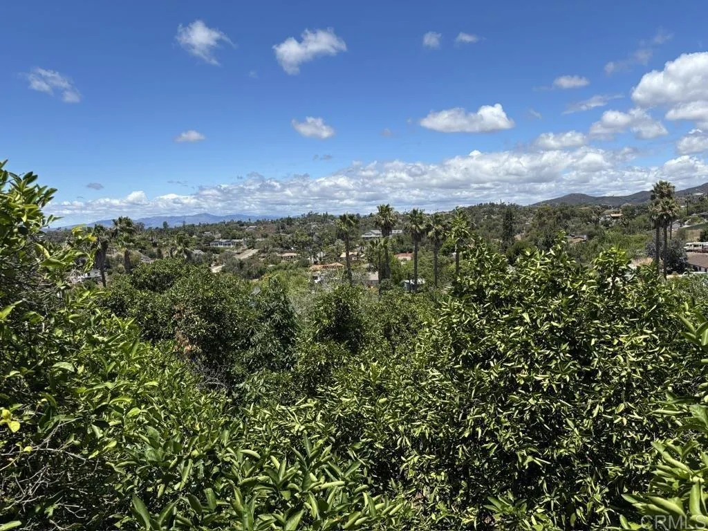 https://cdn.realtyfeed.com/cdn/127/306736753/d25d741c50e392eea603b3a37331f704.webp