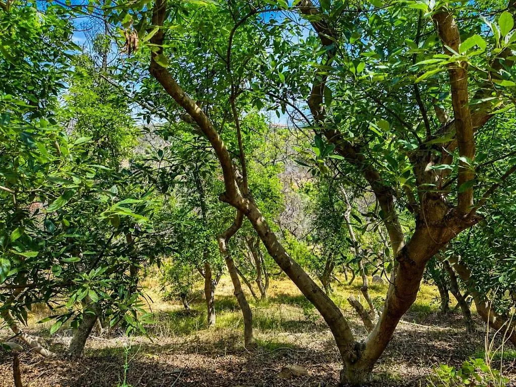 https://cdn.realtyfeed.com/cdn/127/306737376/634b66d5bb4bc4c6ba08517a14ecbf88.webp