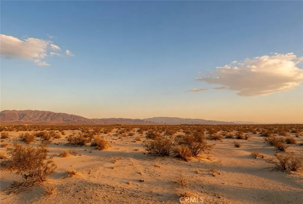 29 Palms, CA 92277