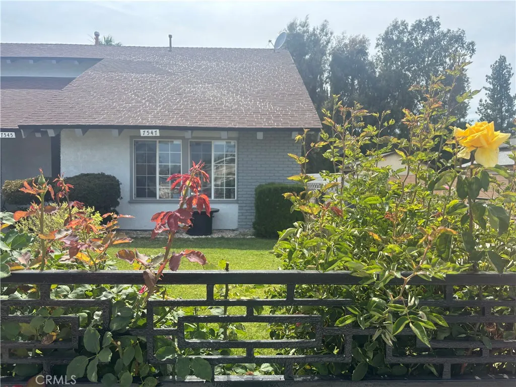 Featured Homes