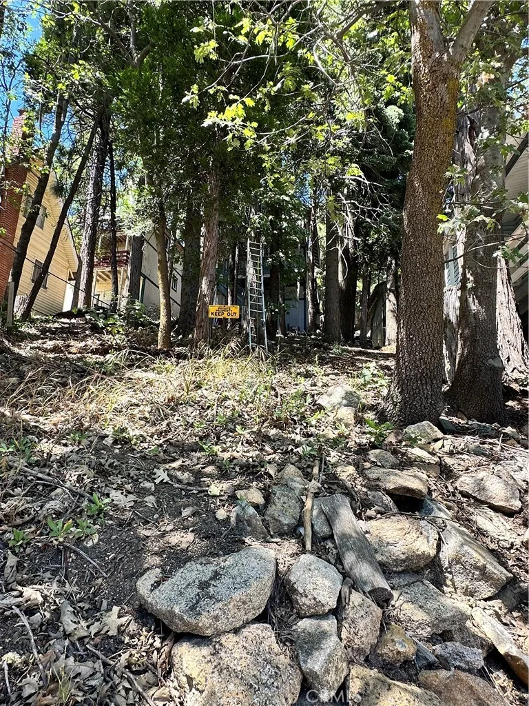 1223 Bear Springs, Rimforest, CA 92378 - Photo 4 of 27, Rimforest, CA
