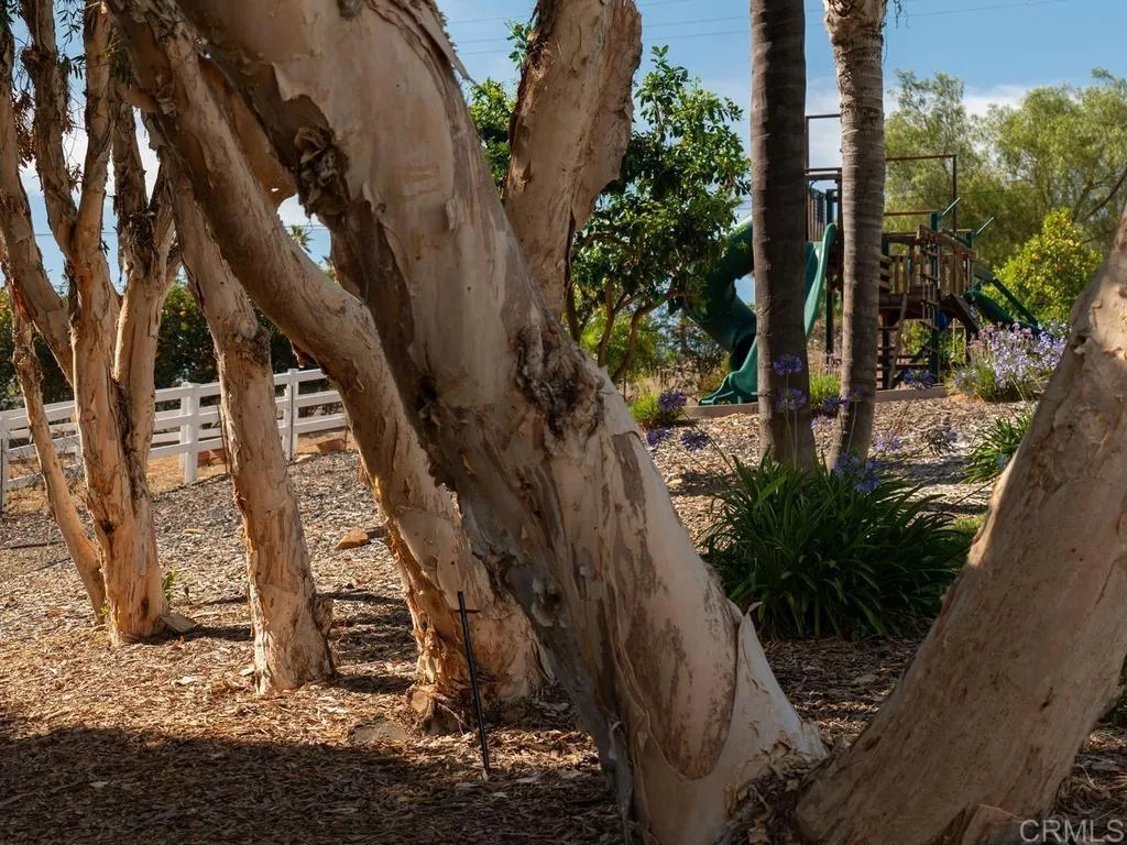 https://cdn.realtyfeed.com/cdn/127/306743205/88af17b33fae2d0abce81c376fe104aa.webp
