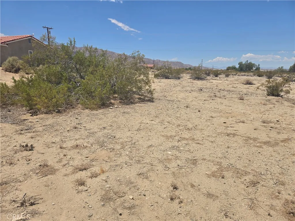 29 Palms, CA 92277