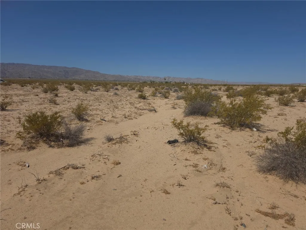 29 Palms, CA 92277
