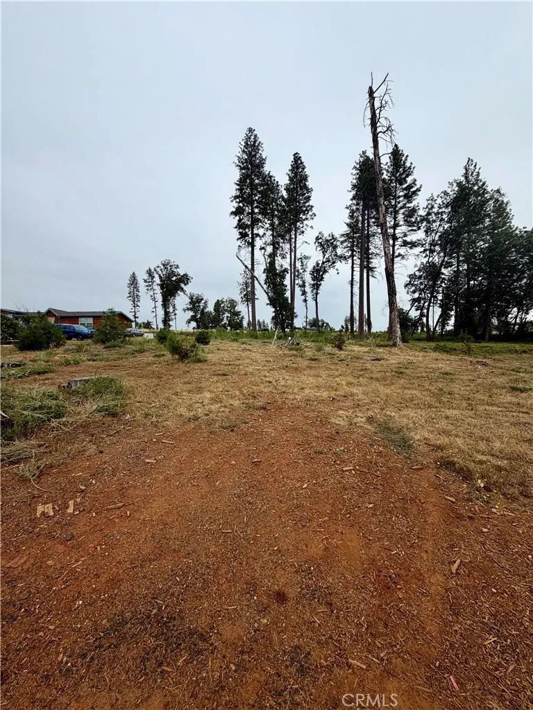 Paradise, CA 95969