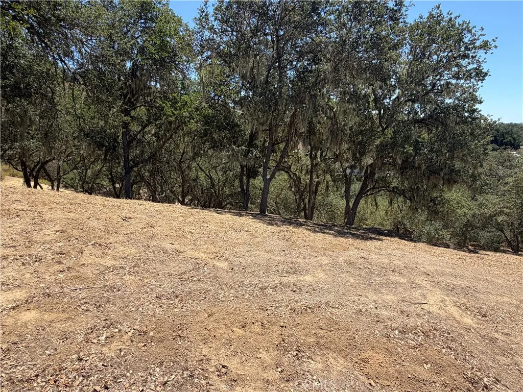 Bradley, CA 93426