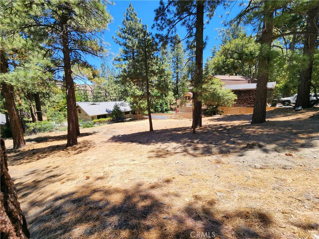 0 Timberline, Wrightwood, CA 92397 - Photo 5 of 6, Wrightwood, CA
