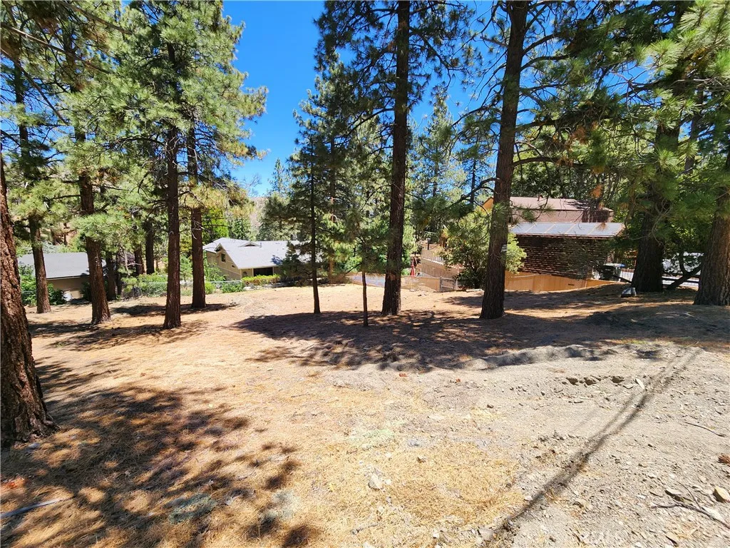0 Timberline, Wrightwood, CA 92397 - Photo 3 of 6, Wrightwood, CA
