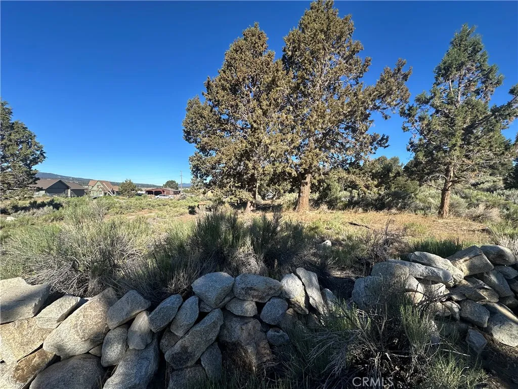 0 Baldwin Lake, Baldwin Lake, CA 92314 - Photo 5 of 10, Baldwin Lake, CA