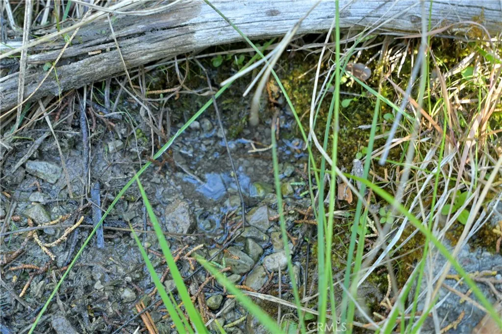 1 Duzel Creek Road, Fort Jones, CA 96032 - Photo 4 of 38, Fort Jones, CA