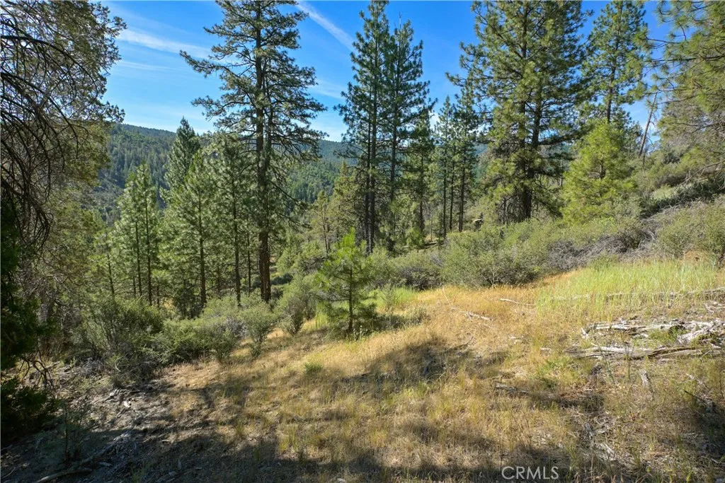 1 Duzel Creek Road, Fort Jones, CA 96032 - Photo 2 of 38, Fort Jones, CA