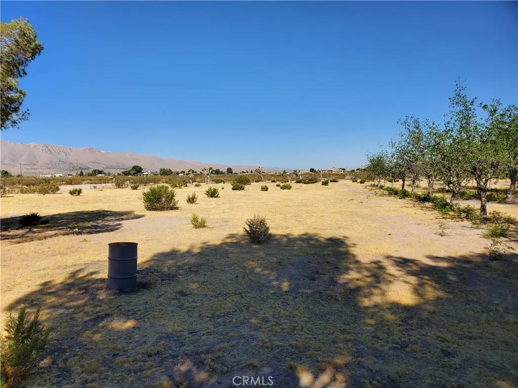 9870 Cody, Lucerne Valley, CA 92356 - Photo 5 of 37, Lucerne Valley, CA