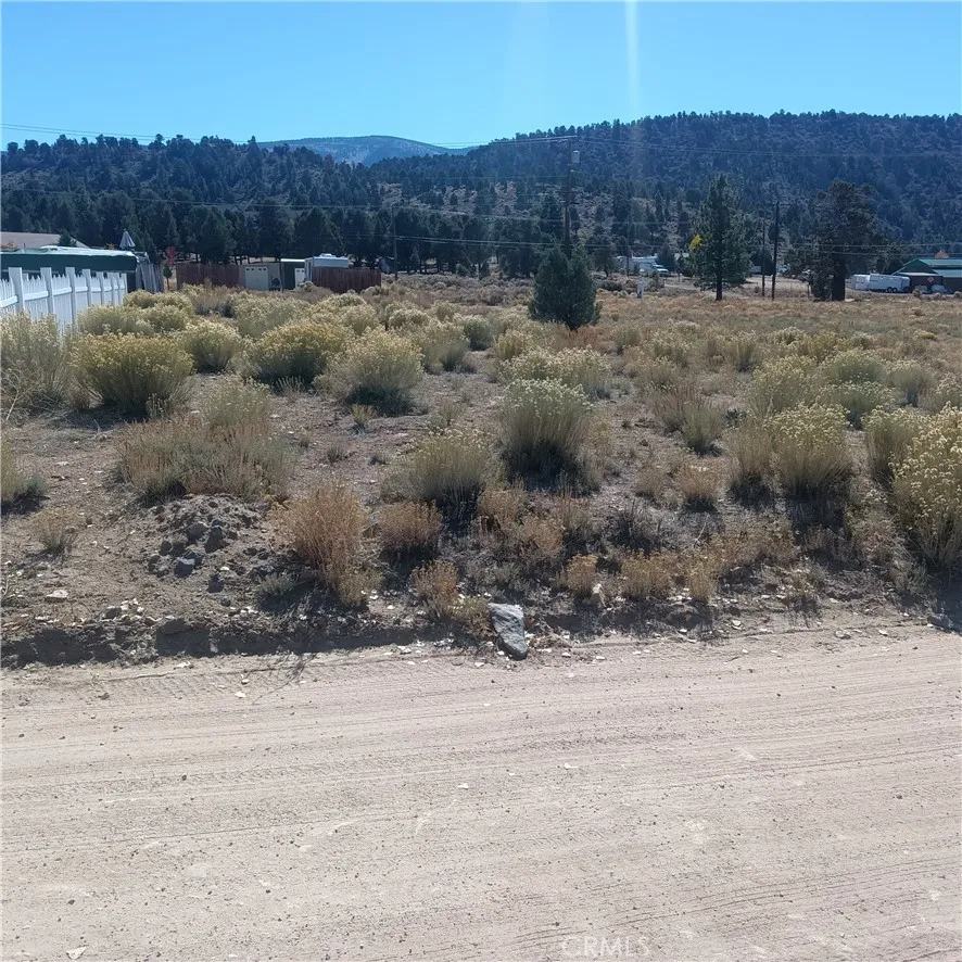777 Old Pioneer Town, Baldwin Lake, CA 92314 - Photo 5 of 12, Baldwin Lake, CA